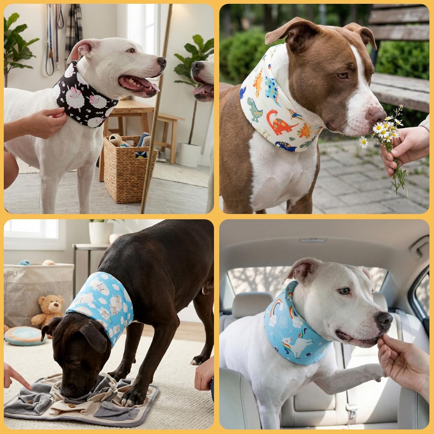 Blue Ducks with Hats Print Dog Recovery Collar