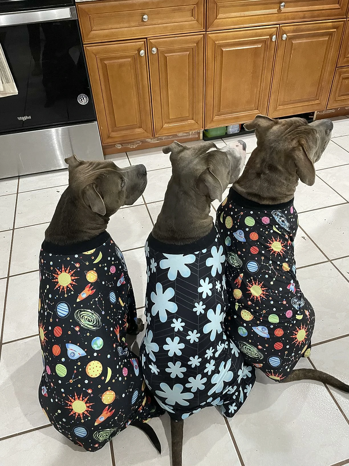 Three gray dogs sitting side-by-side on a kitchen floor, wearing matching space and floral patterned pajamas, with wood cabinets in the background.