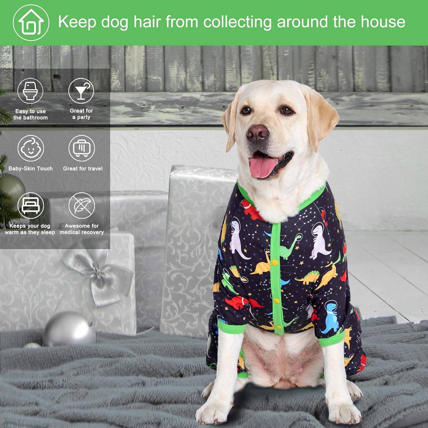 Space Dinosaurs Dog Onesie