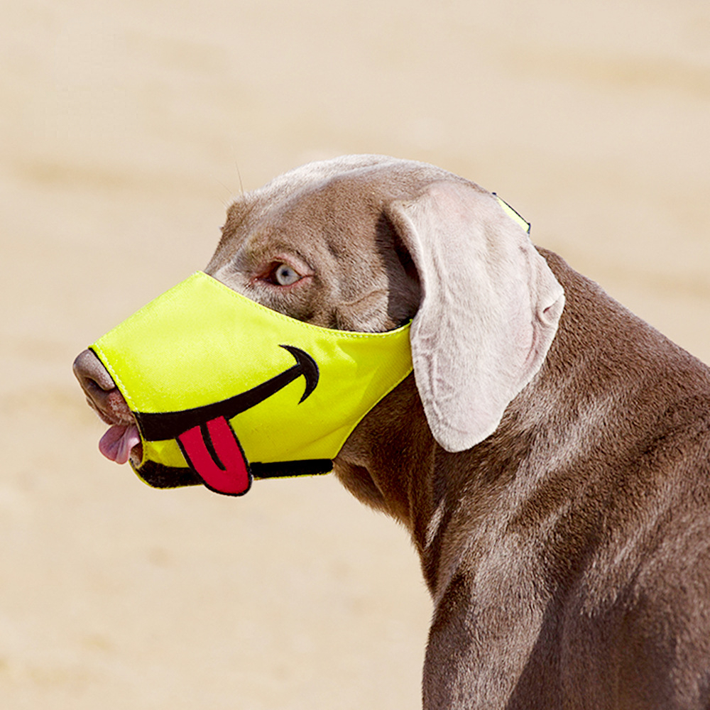 Dog mouth cover dog mask anti-bite dog dog mask anti-bark bark stopper breathable cartoon nylon pet muzzle