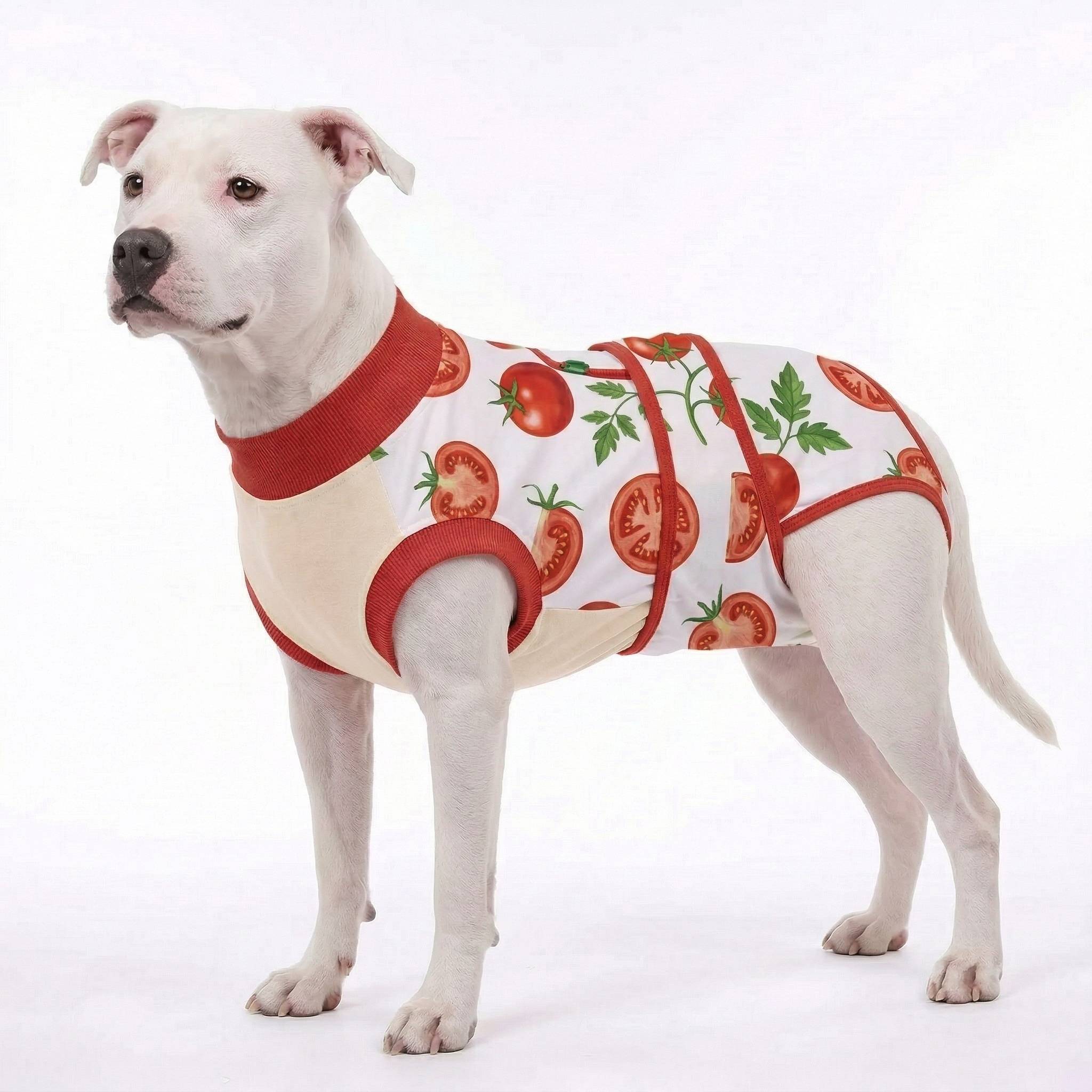 Recovery suits for male and female dogs -  Organic Veggies Prints