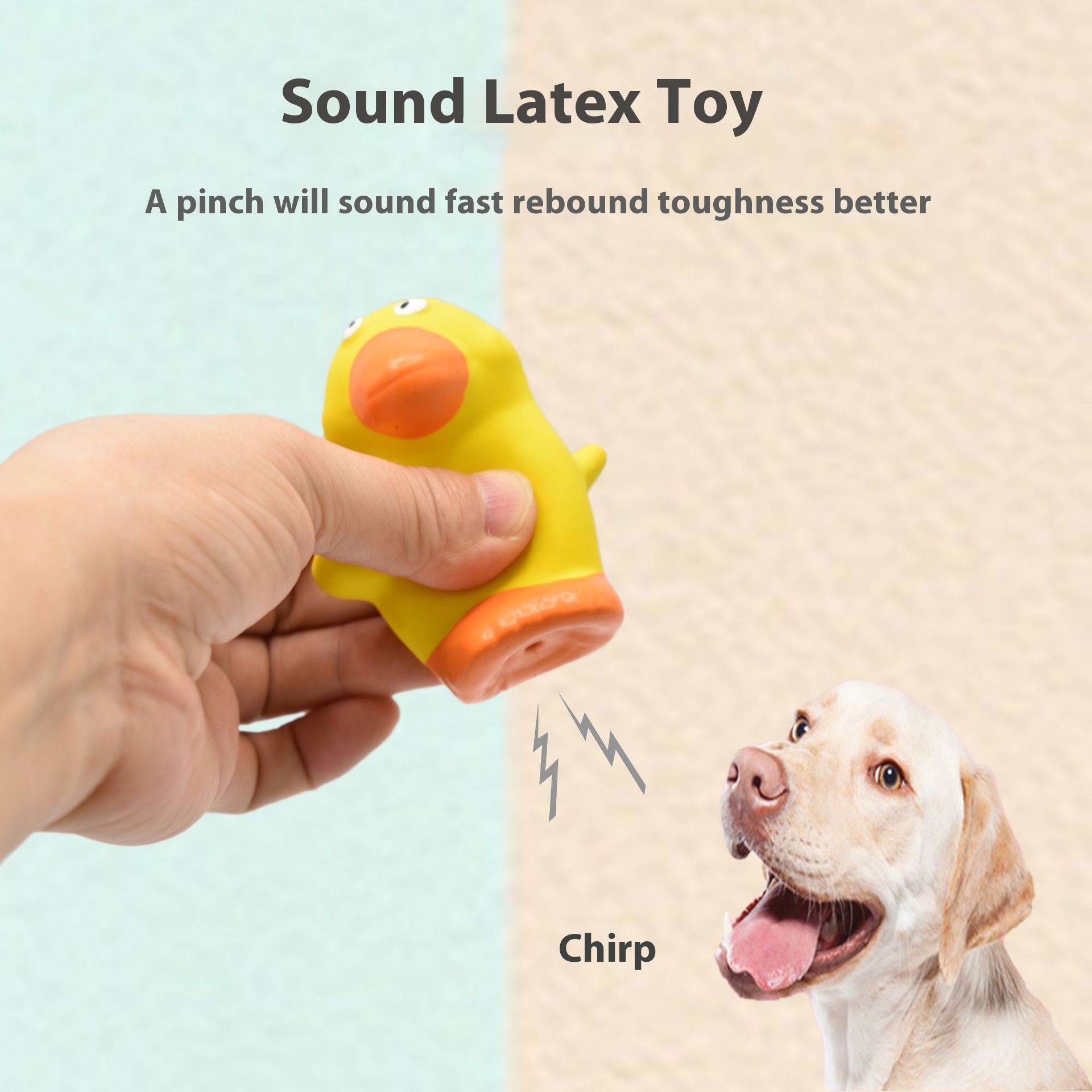 Pig latex dog toy animal shape molar long lasting pet toy teddy VIP large, medium and small dog toy