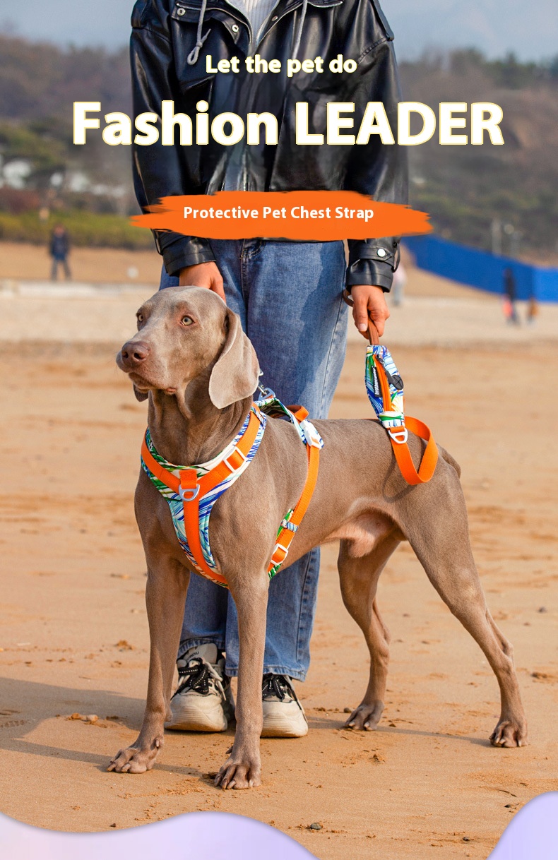 i2aWi/+syNQCDNrwBMfKHA9FqmPUYg+DOxF3