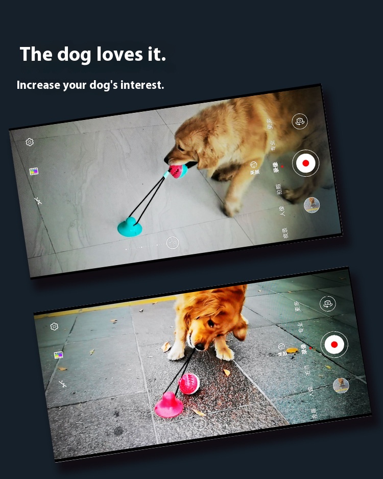 鍚哥洏鎷夊姏鐙楃帺鍏疯鎯卂03