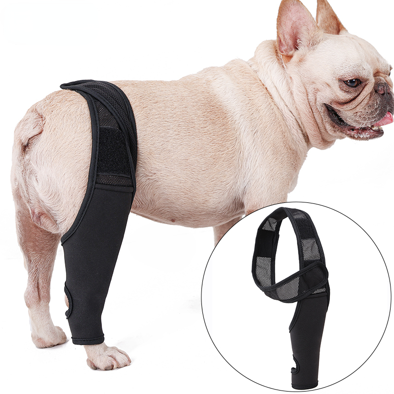 Dog fixed protective gear dog rear leg bracket disabled dog leg auxiliary dog leg limp belt knee pad surgical injury protective cover