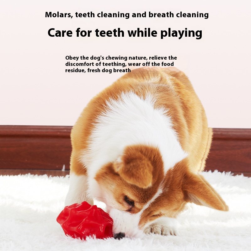 Pet Toy TPU food dropping ball puzzle food filling ball bite-resistant irregular elastic leakage food feeder funny dog bite ball