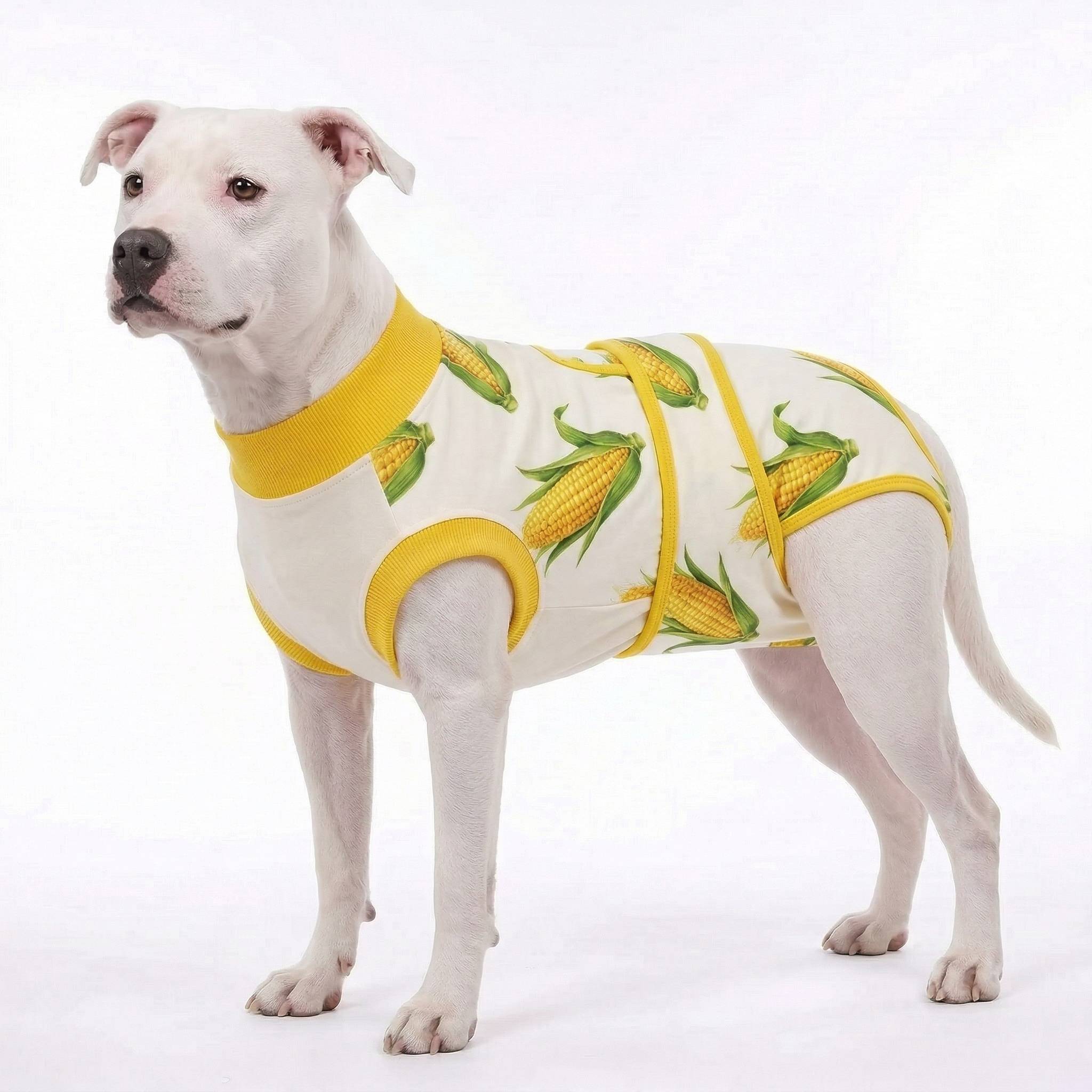 Recovery suits for male and female dogs -  Organic Veggies Prints