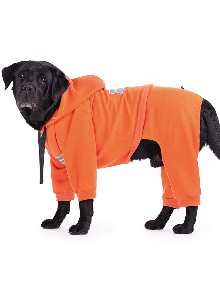 New large dog clothes four-legged pet clothing golden retriever Labrador Alaska hooded sweater autumn and winter clothing free shipping