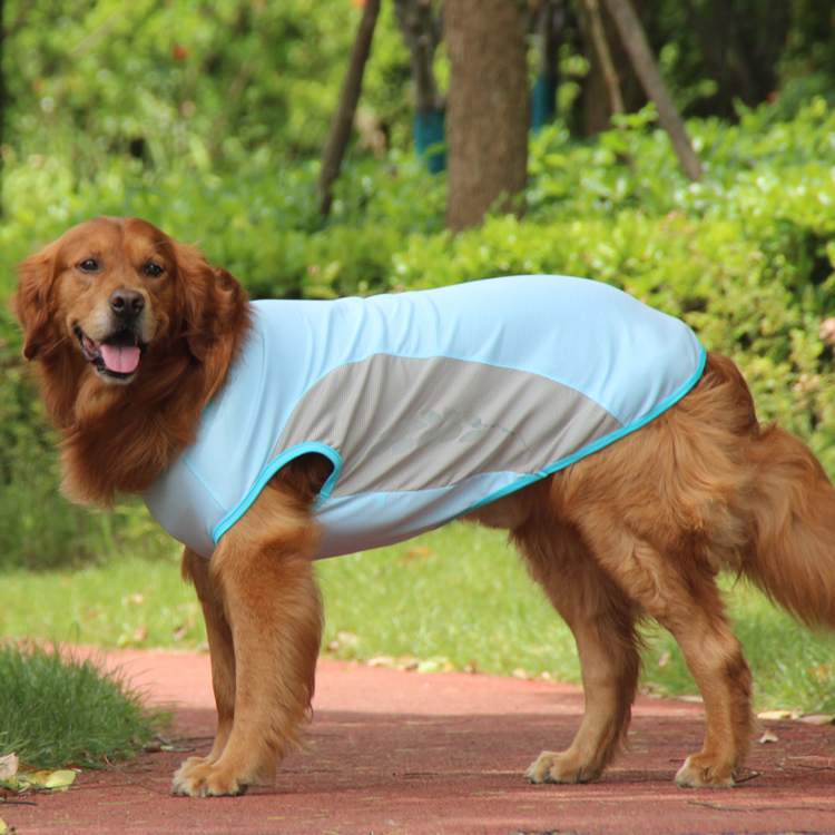Best Cooling Jacket for Dogs | Ice Vest Reflective Safety