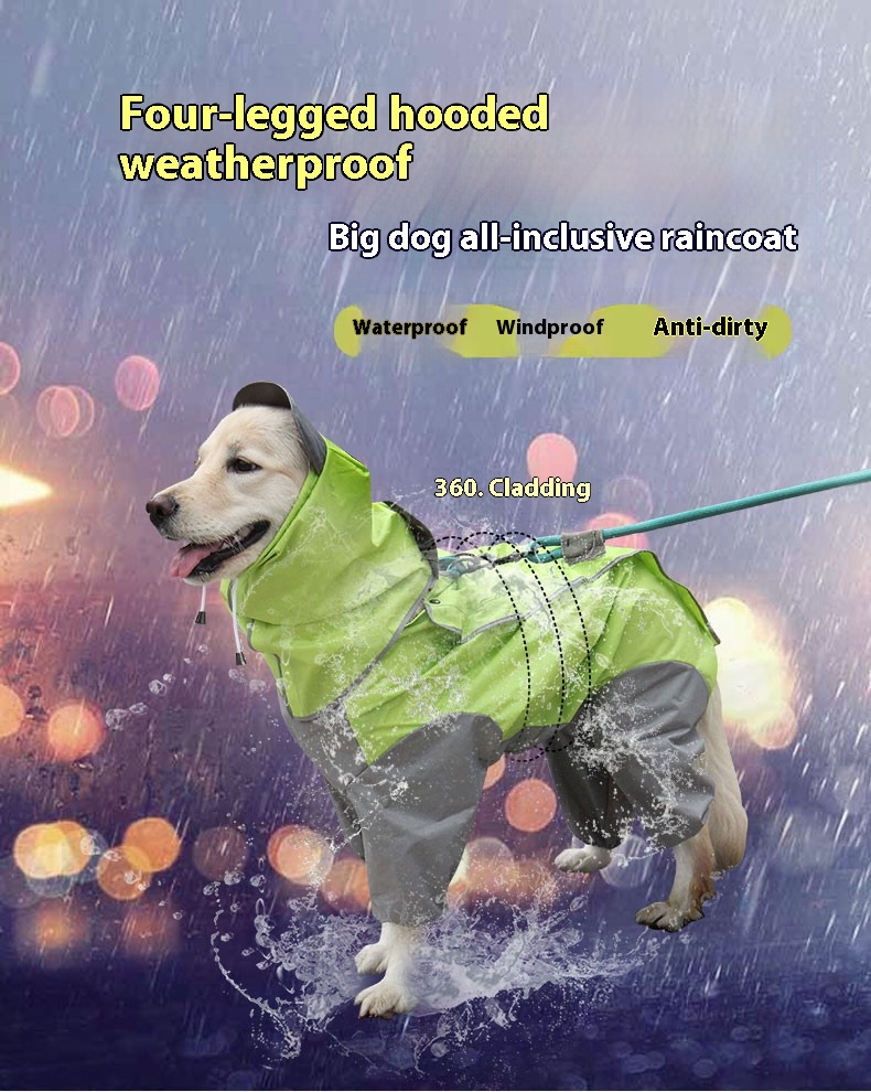 i2aWi/+syNQCDNrwBMfKHAxCqmPQYg6DyzT8