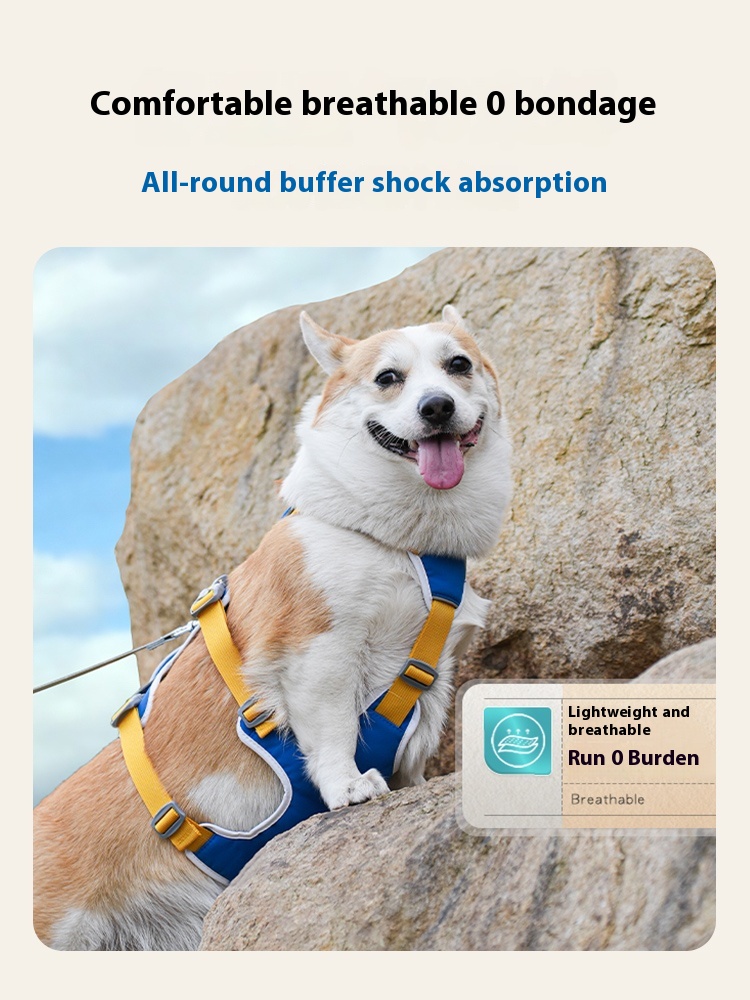 Lifting dog breast strap vest-style medium-sized dog Corgi and Shiba Inu small dog teddy dog leash anti breaking loose
