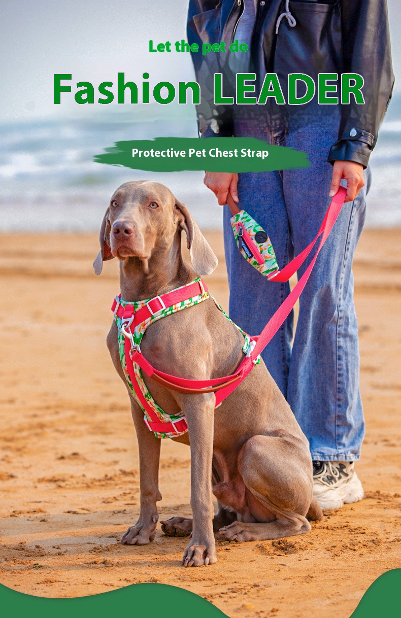 i2aWi/+syNQCDNrwBMfKHA9FqmPUYg+DOxdy