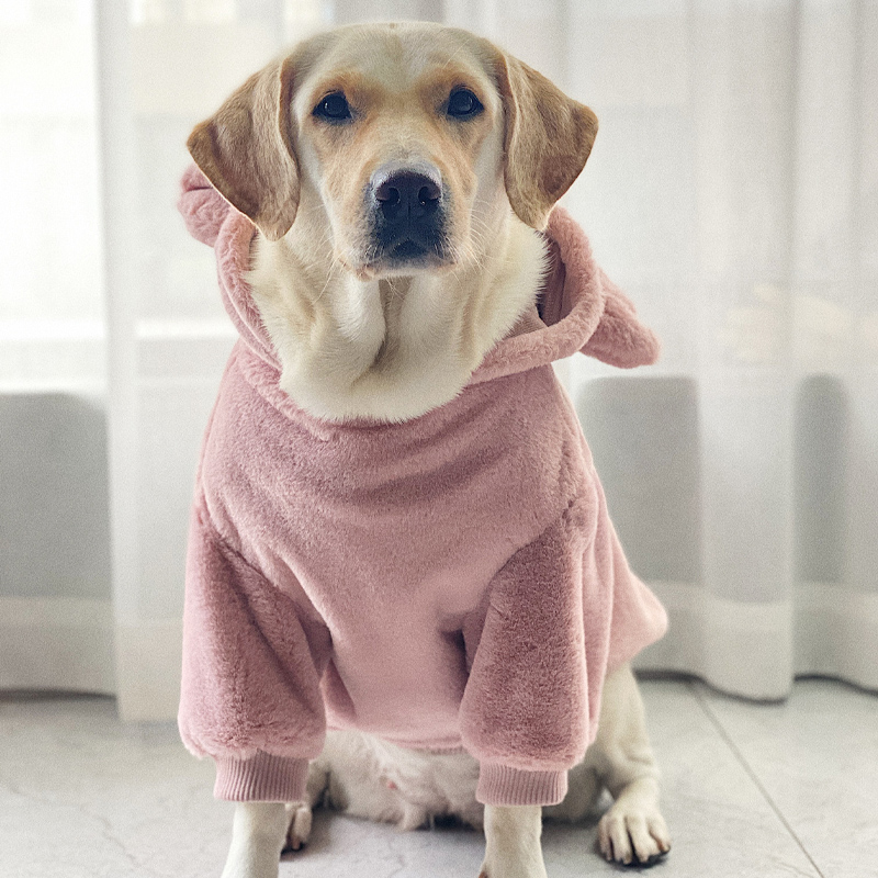 Fleece-Lined Dog Hoodie for Large Dogs | Warm and Cute Winter Clothes
