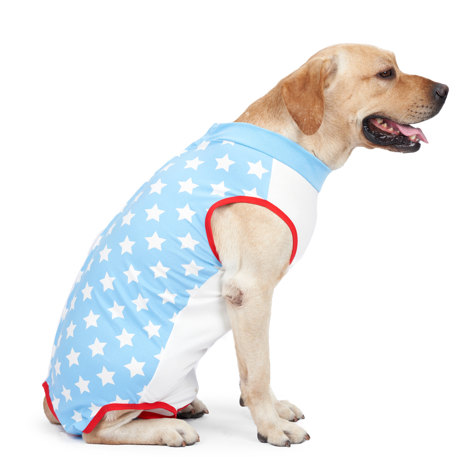 Post-Surgery Recovery Suit | Female Dog Sterilization Gown