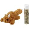 Catnip Toys