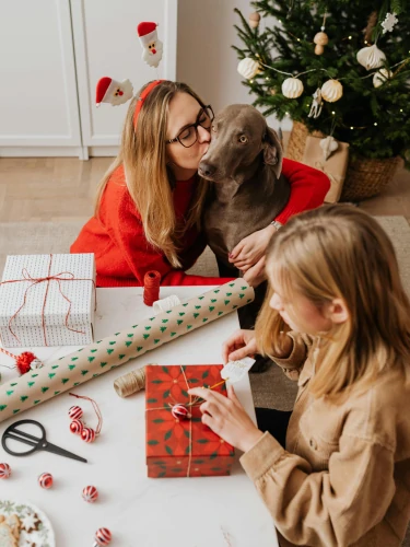 Celebrate Christmas with LovinPet's festive dog apparel and gifts! A cozy family moment featuring a dog surrounded by holiday wrapping and LovinPet products under a decorated Christmas tree.