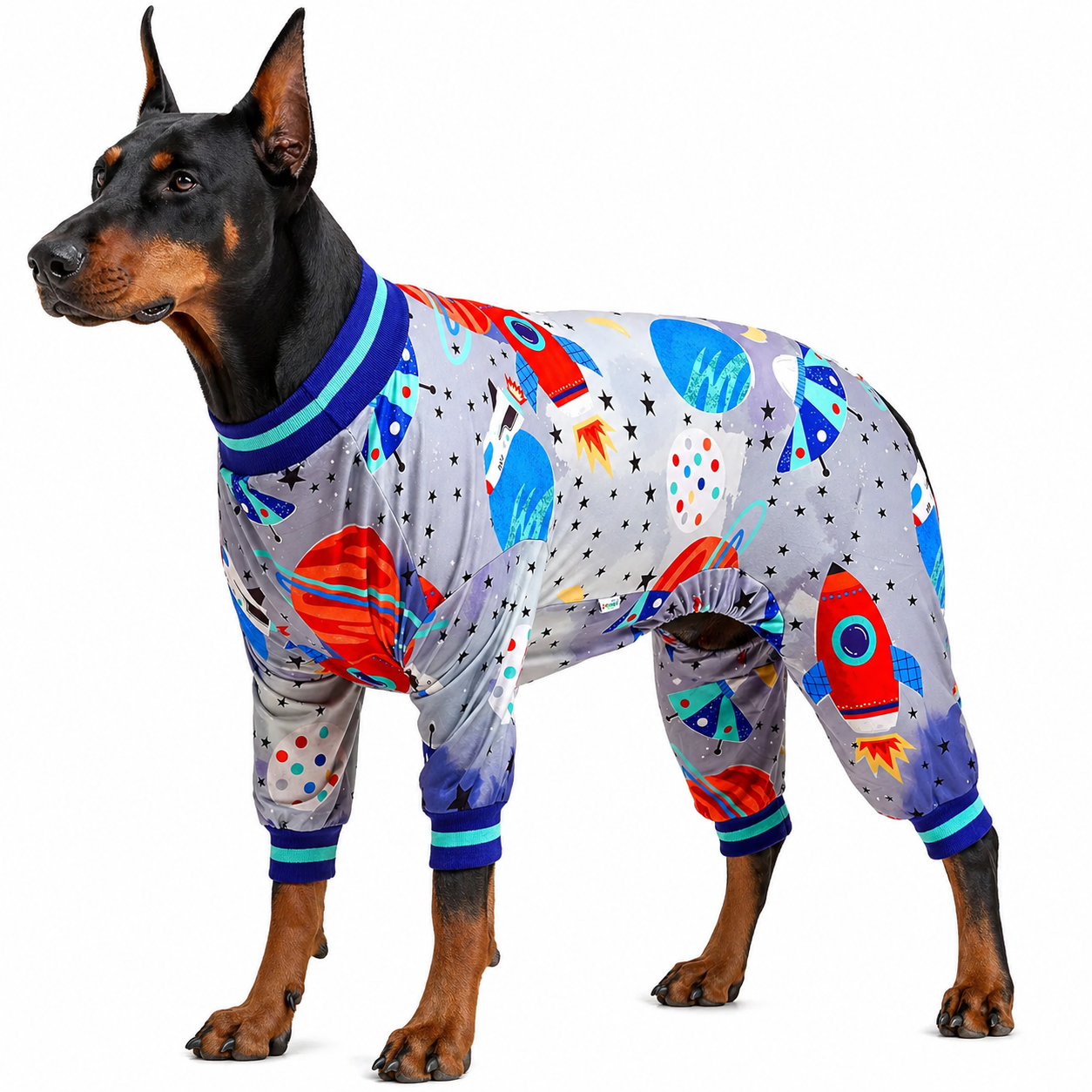 Galaxy World Gray Print Dog Pajamas