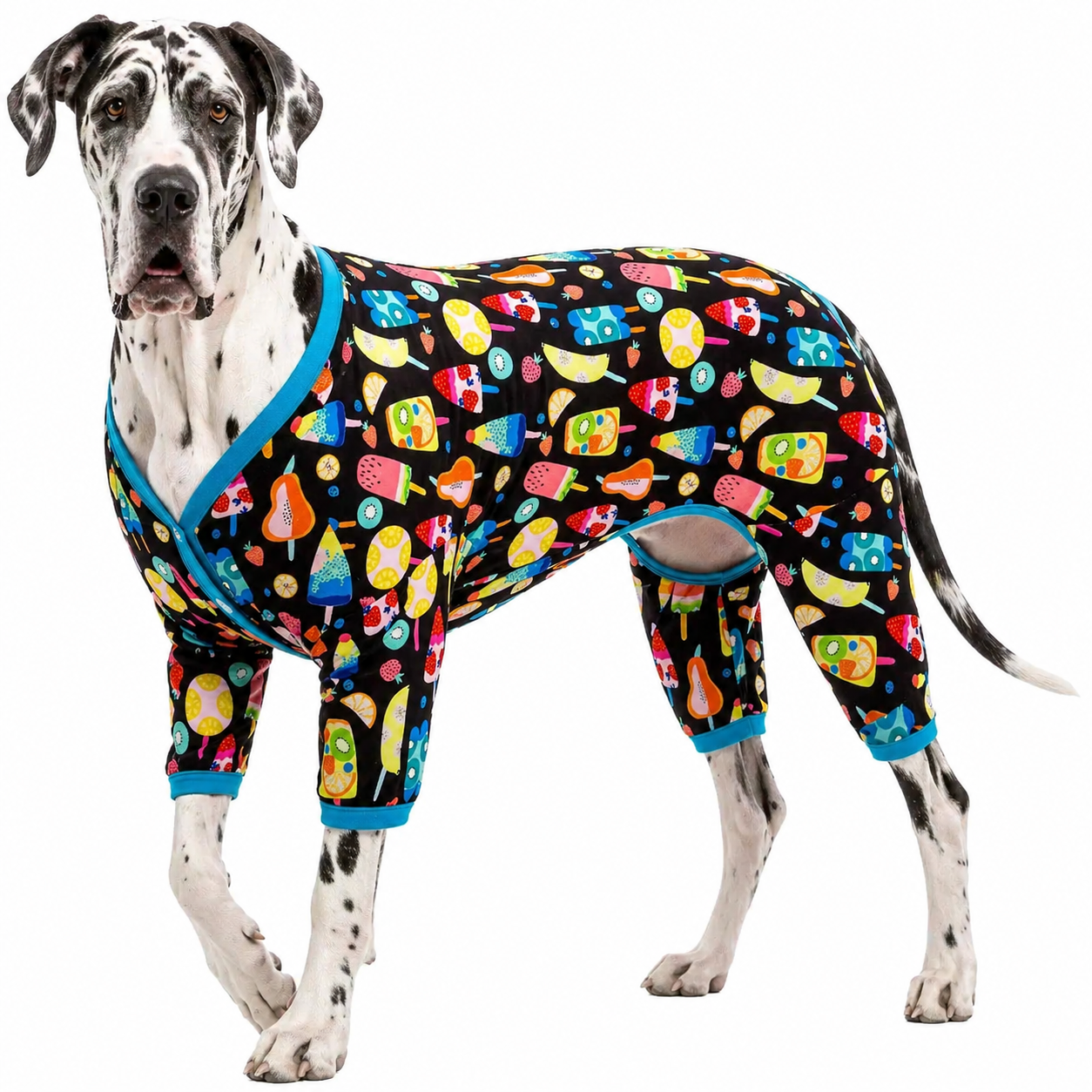 Fruit Popsicle Print Dog Onesie