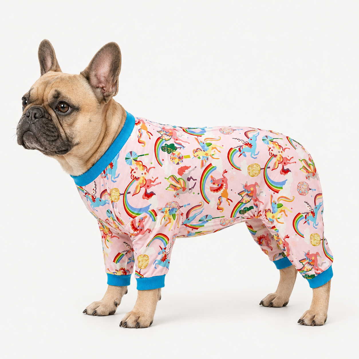 Magic Rainbow Pink Dog Onesie