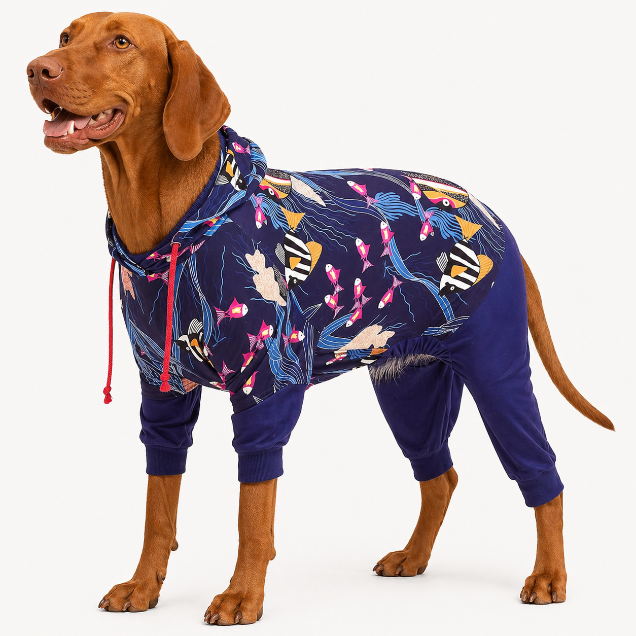 Reflective Fishtopia Seascape Navy Dog PJs