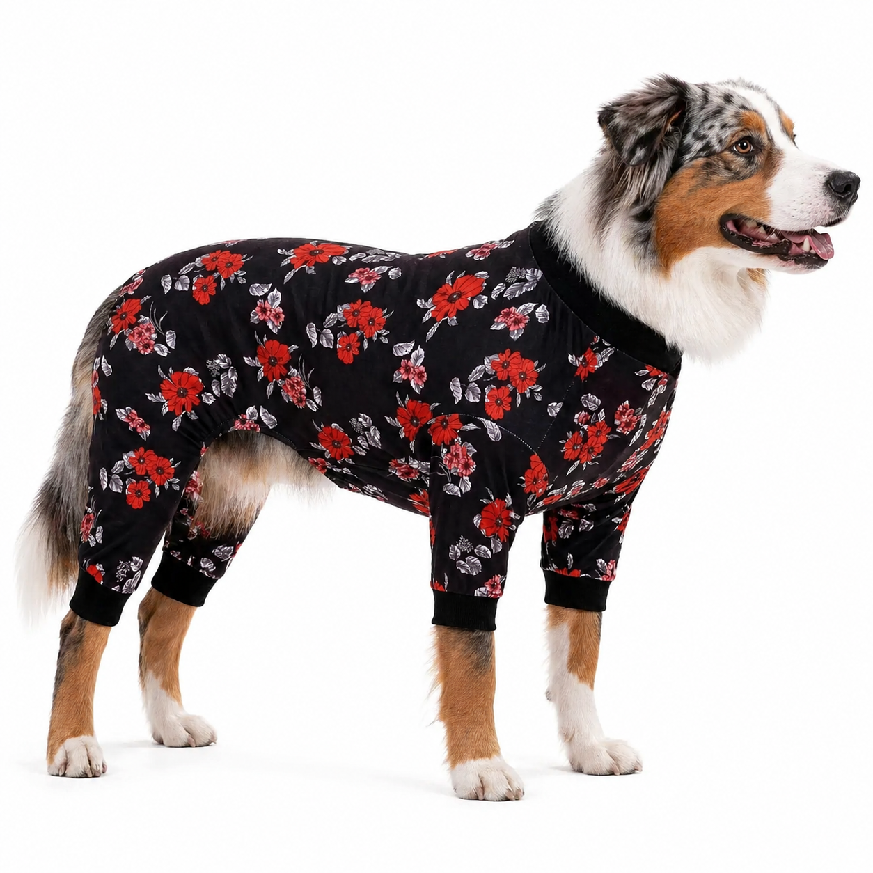 Floral Navy & Coral Dog Pajamas