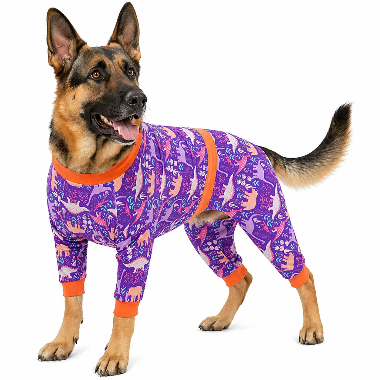 Purple Dinosaur Dog PJs