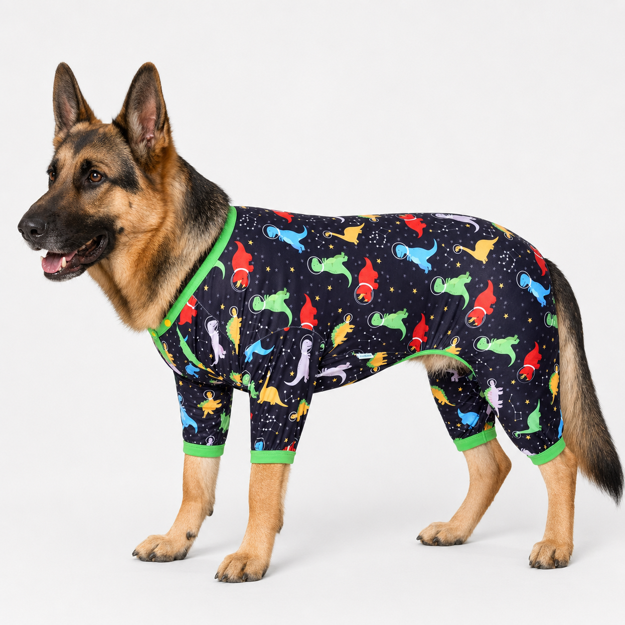 Space Dinosaurs Dog Onesie