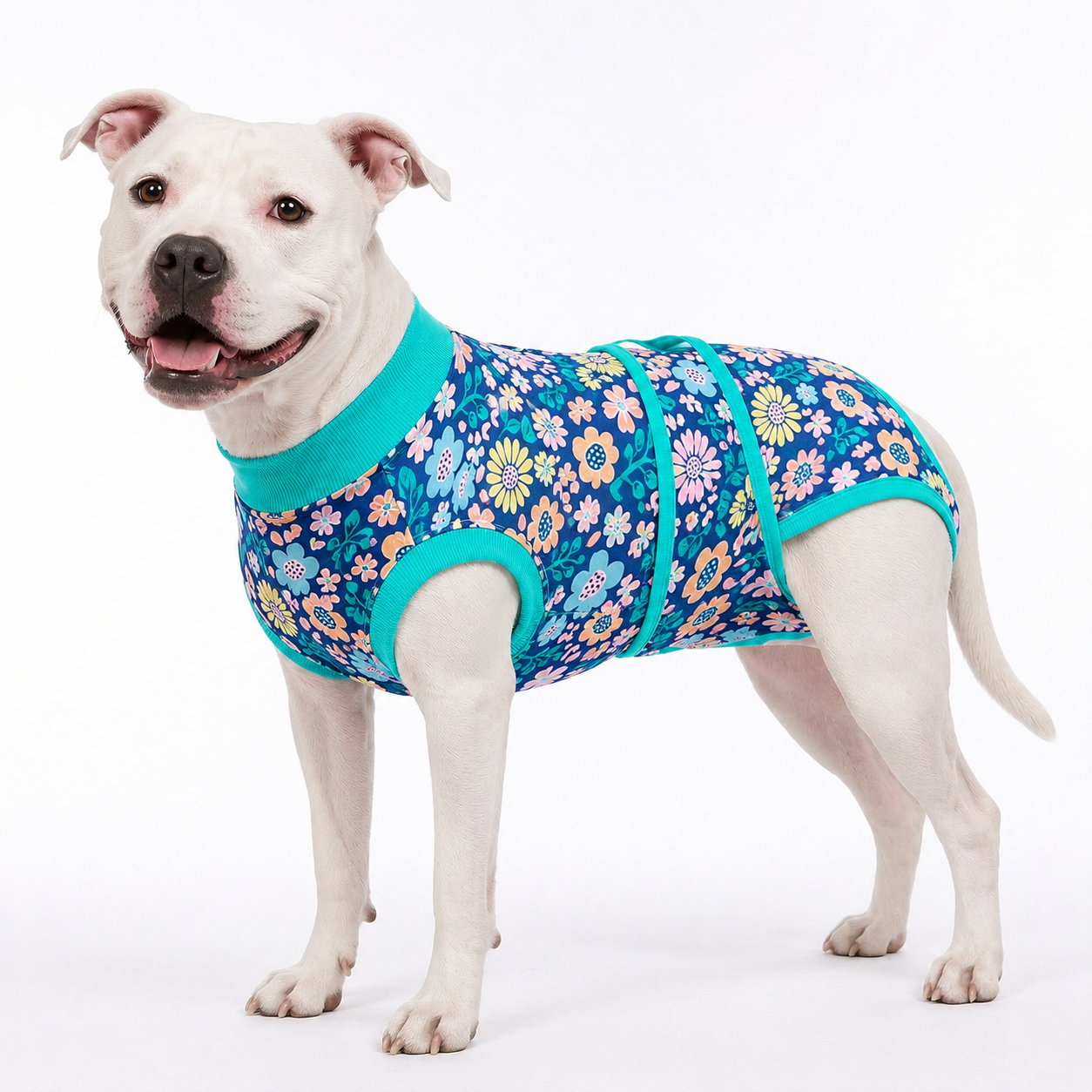 Recovery suits for male and female dogs - Botanical & Floral Prints