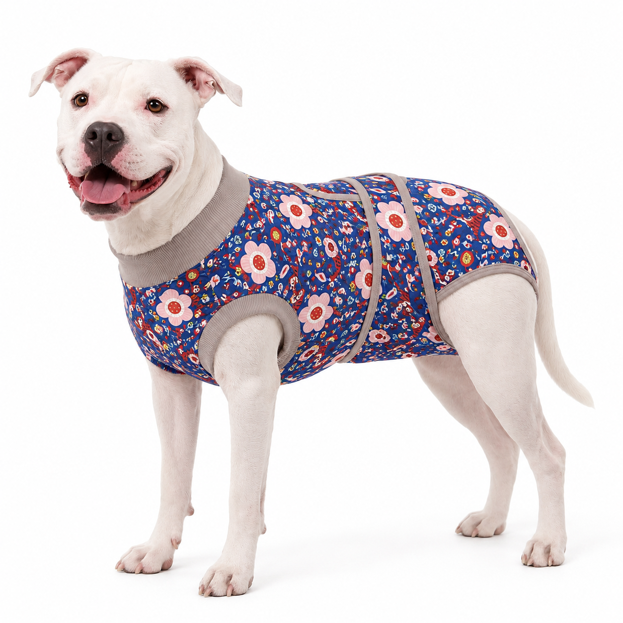 Recovery suits for male and female dogs - Botanical & Floral Prints