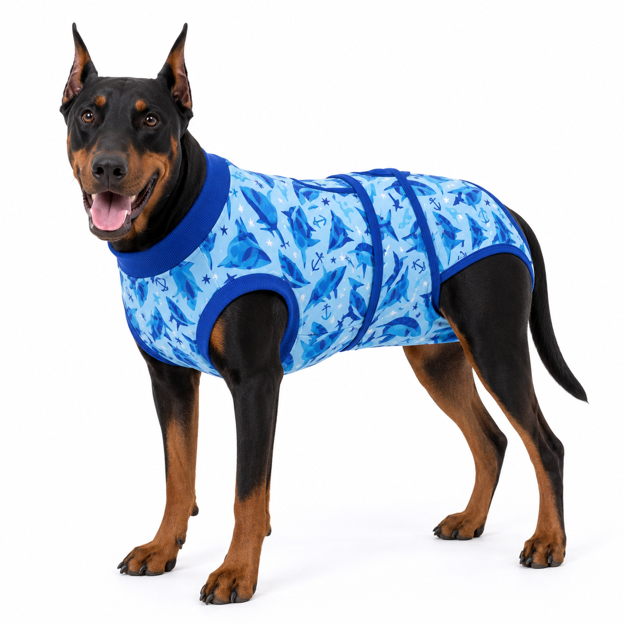 Recovery suits for male and female dogs -  Deep Blue Ocean Prints