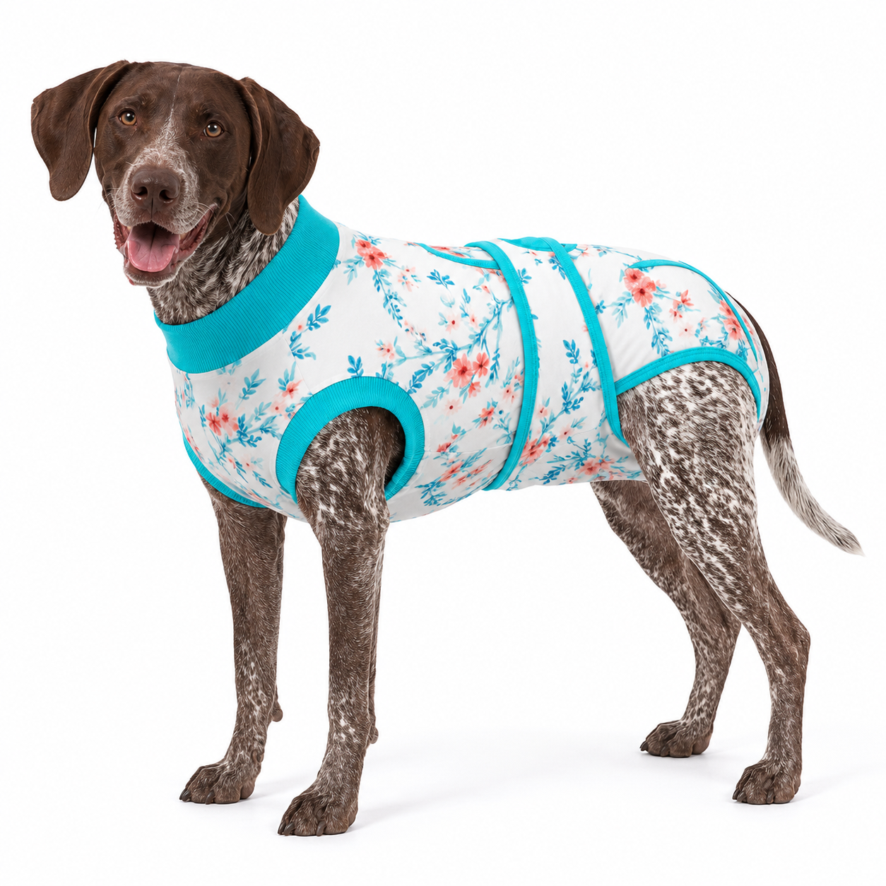Recovery suits for male and female dogs - Botanical & Floral Prints