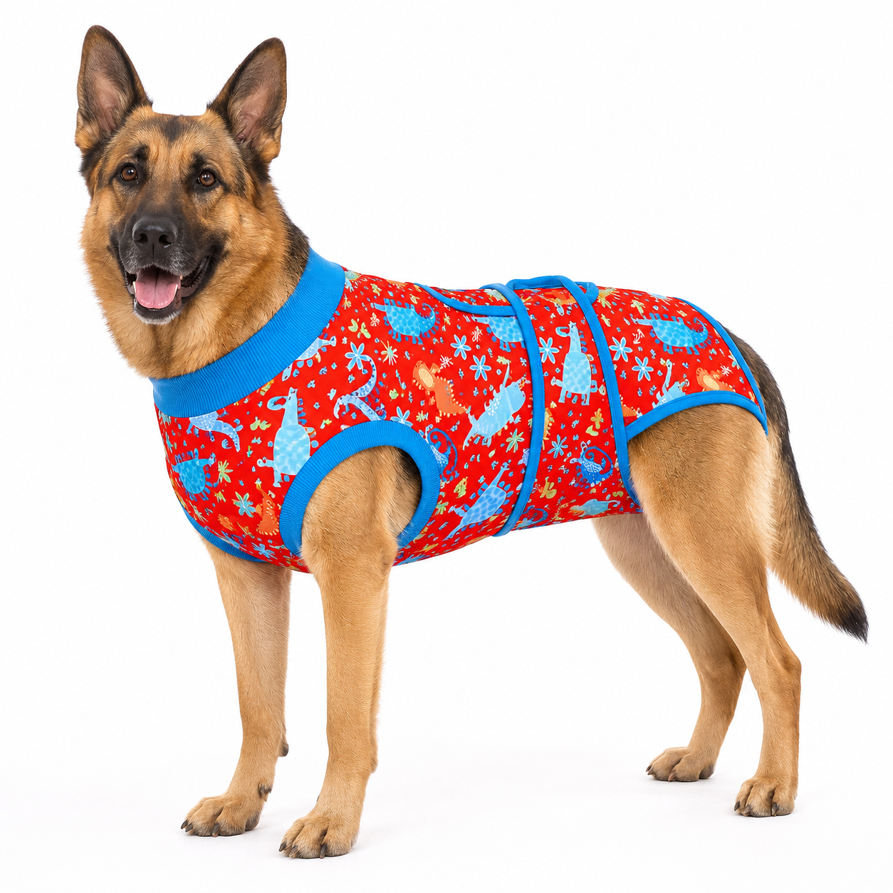 Recovery suits for male and female dogs-Jurassic & Dinos Print