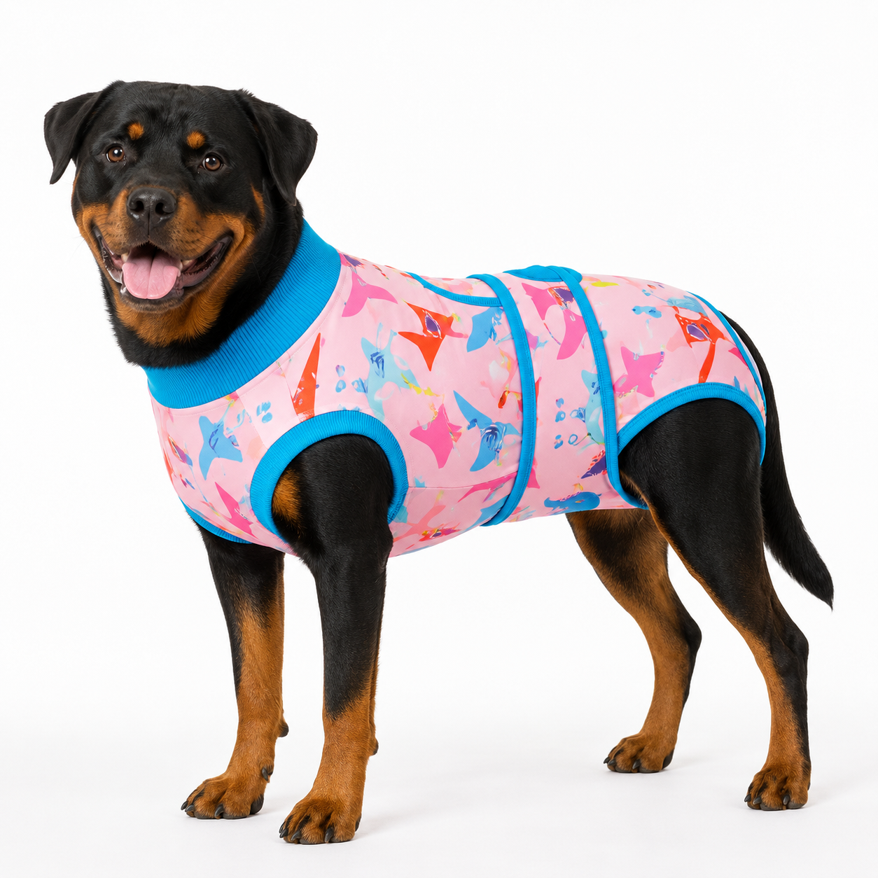 Recovery suits for male and female dogs -  Cute Critters Prints