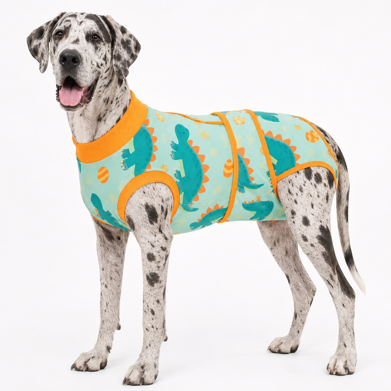 Recovery suits for male and female dogs-Jurassic & Dinos Print