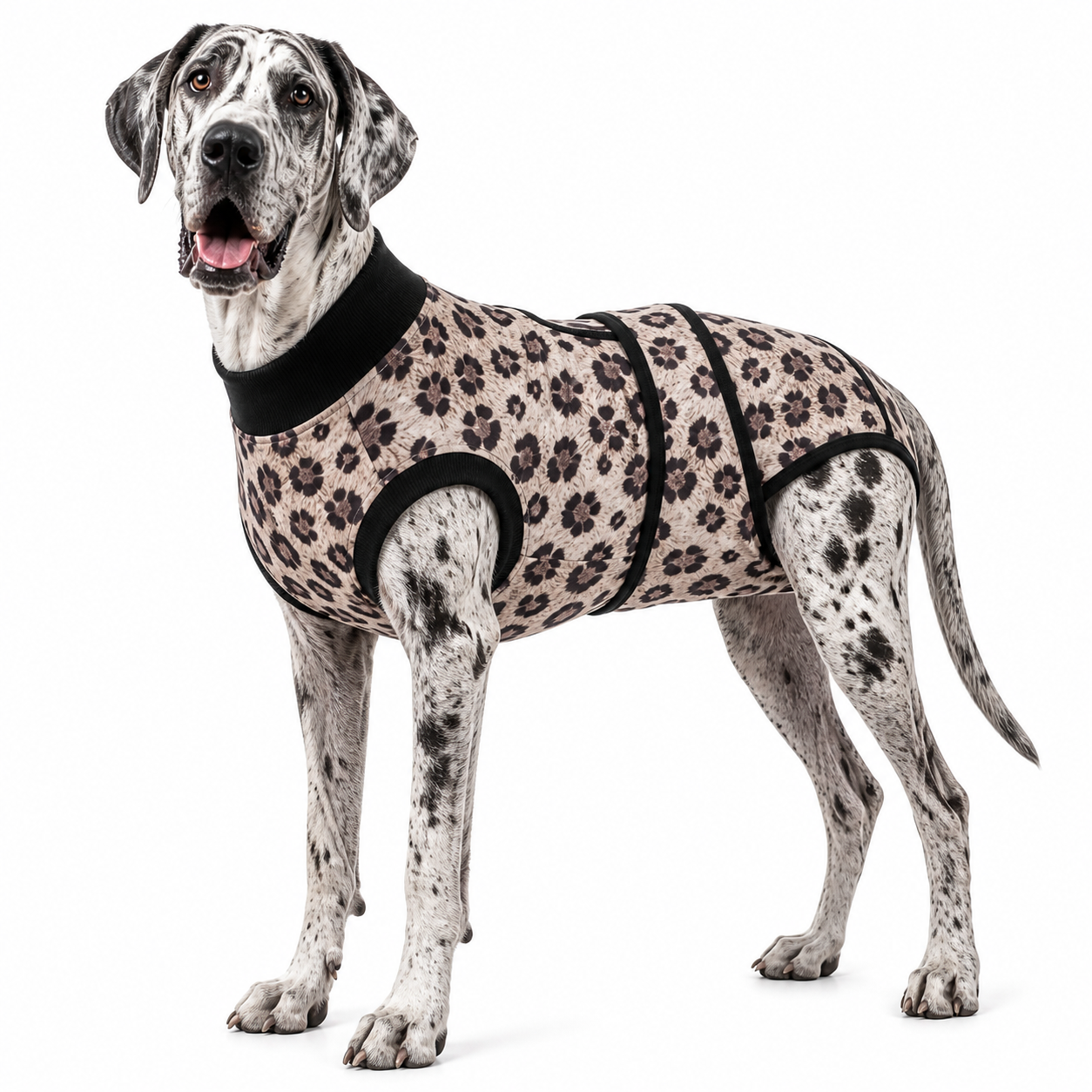 Recovery suits for male and female dogs - Wild Animal Prints