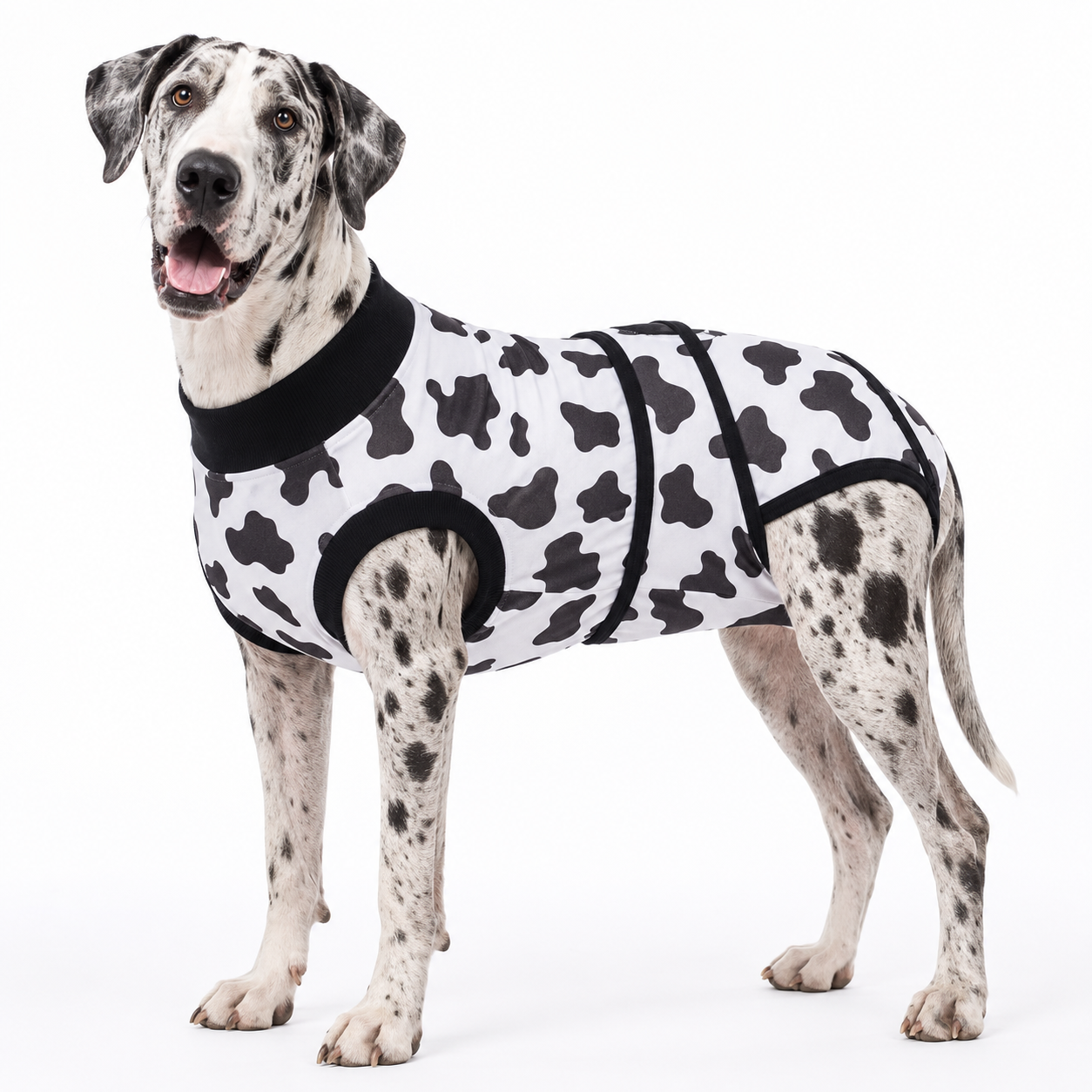 Recovery suits for male and female dogs - Wild Animal Prints