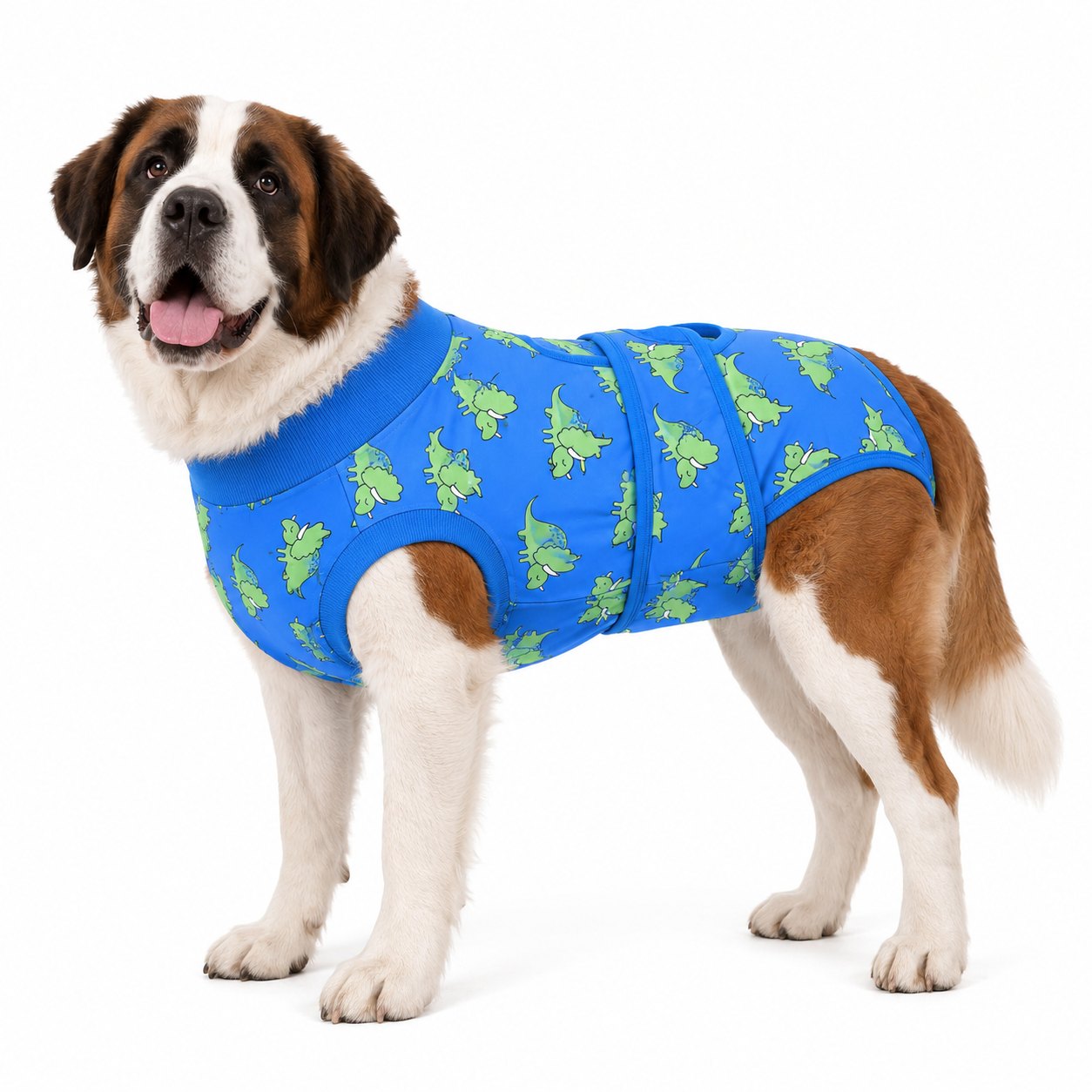 Recovery suits for male and female dogs-Jurassic & Dinos Print