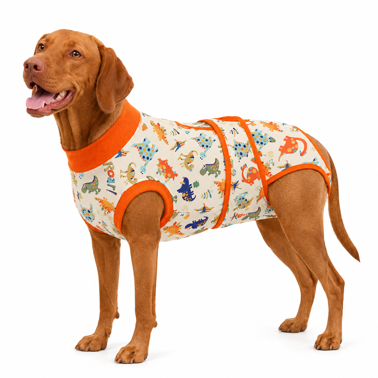 Recovery suits for male and female dogs-Jurassic & Dinos Print