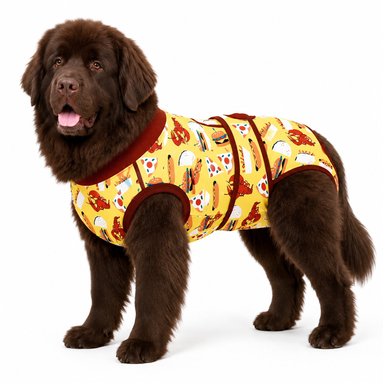 Recovery suits for male and female dogs - Snacks & Fast Food Print