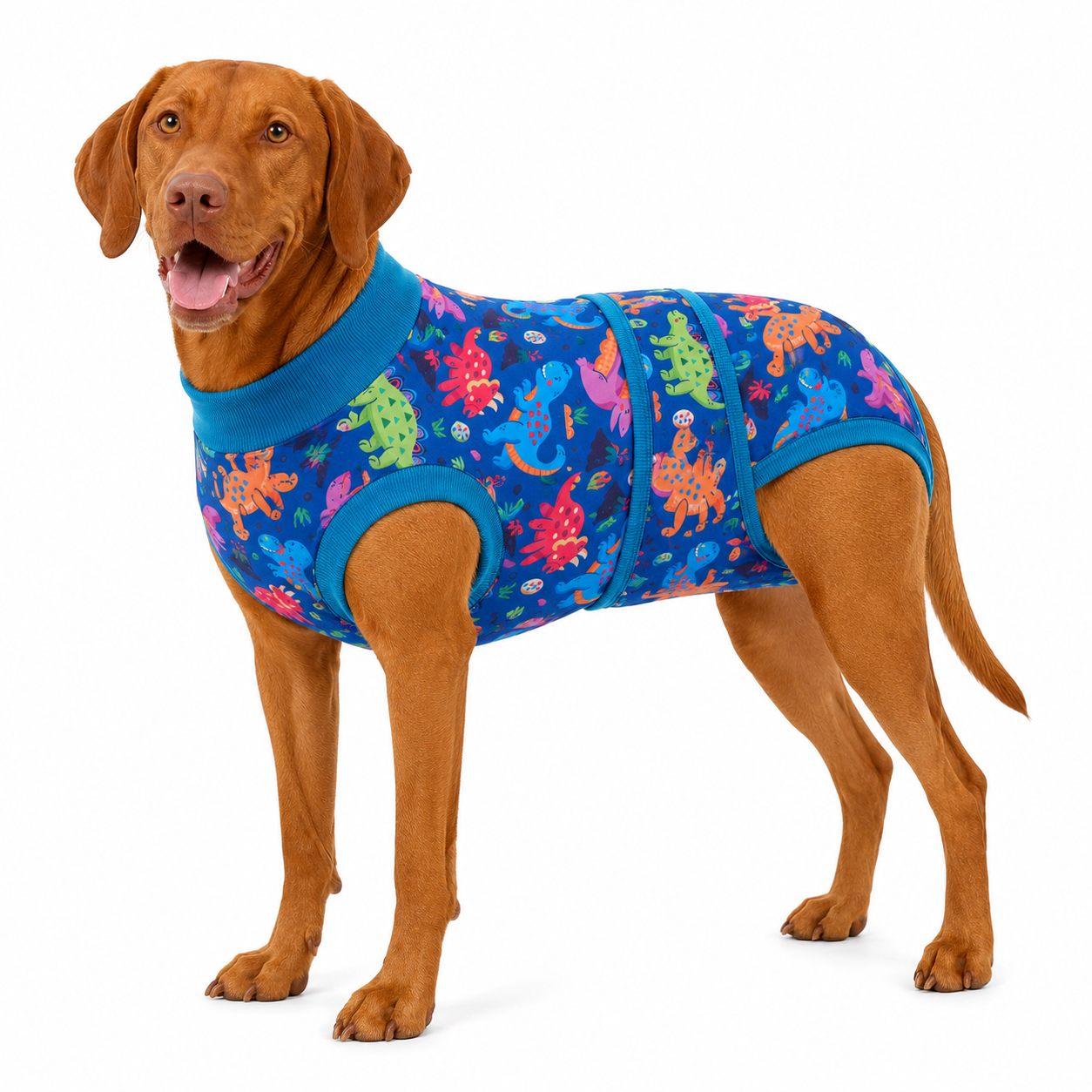Recovery suits for male and female dogs-Jurassic & Dinos Print