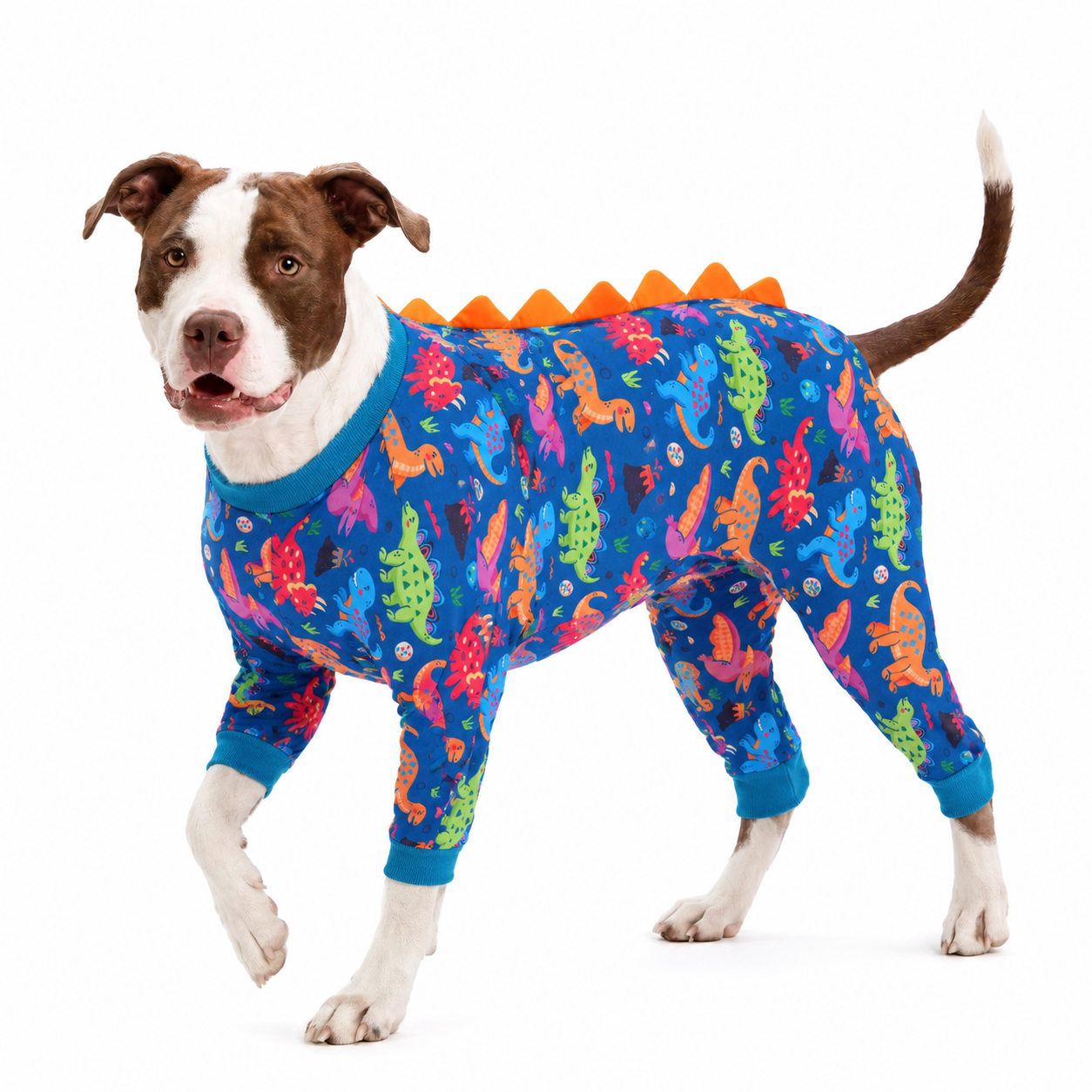 3D Dinosaur Dog Pajamas with Ridge