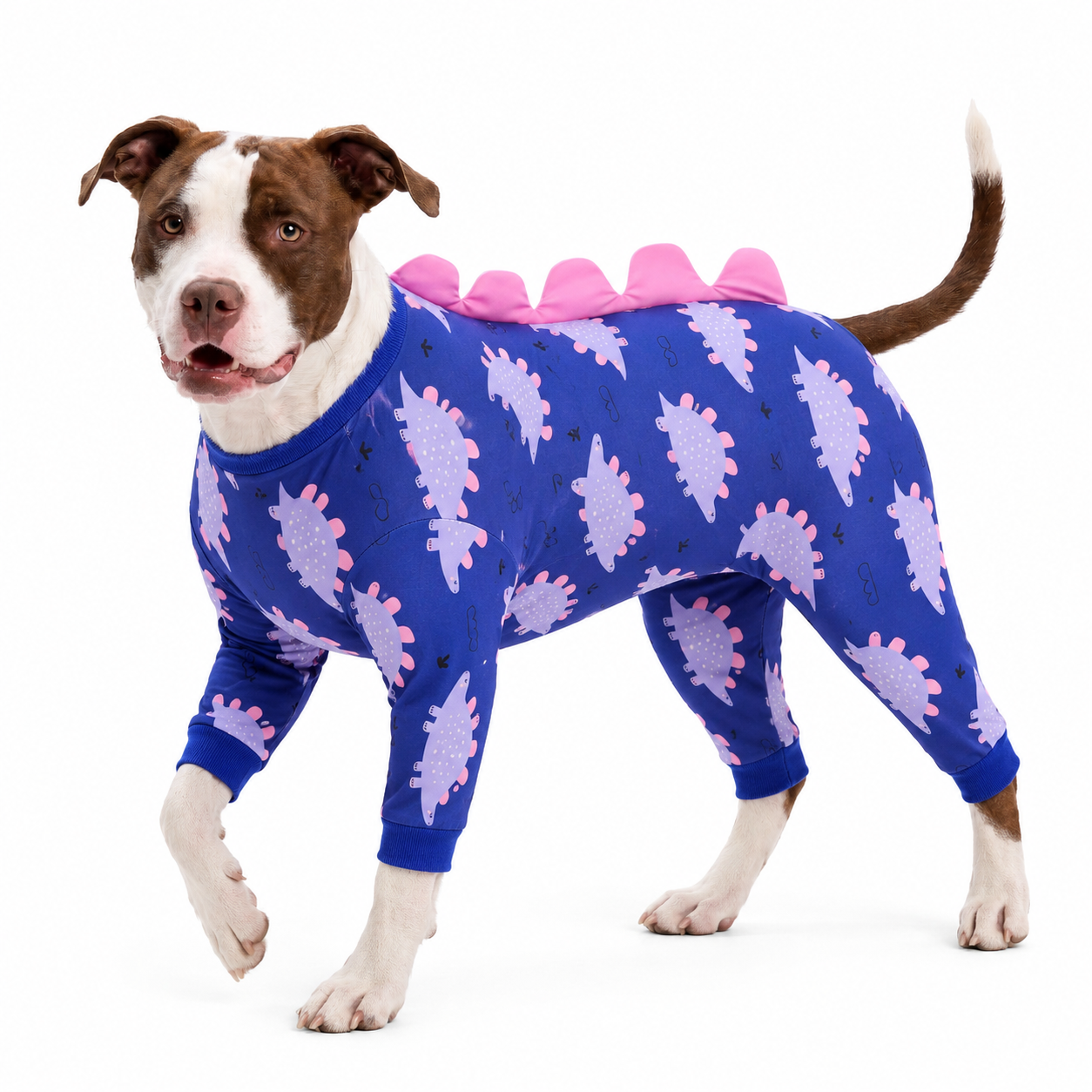 3D Dinosaur Dog Pajamas with Ridge