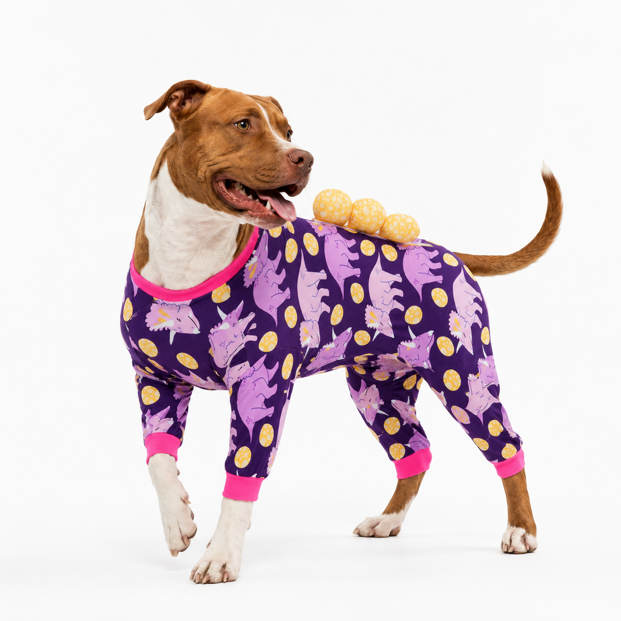 3D Dinosaur Dog Pajamas with Ridge