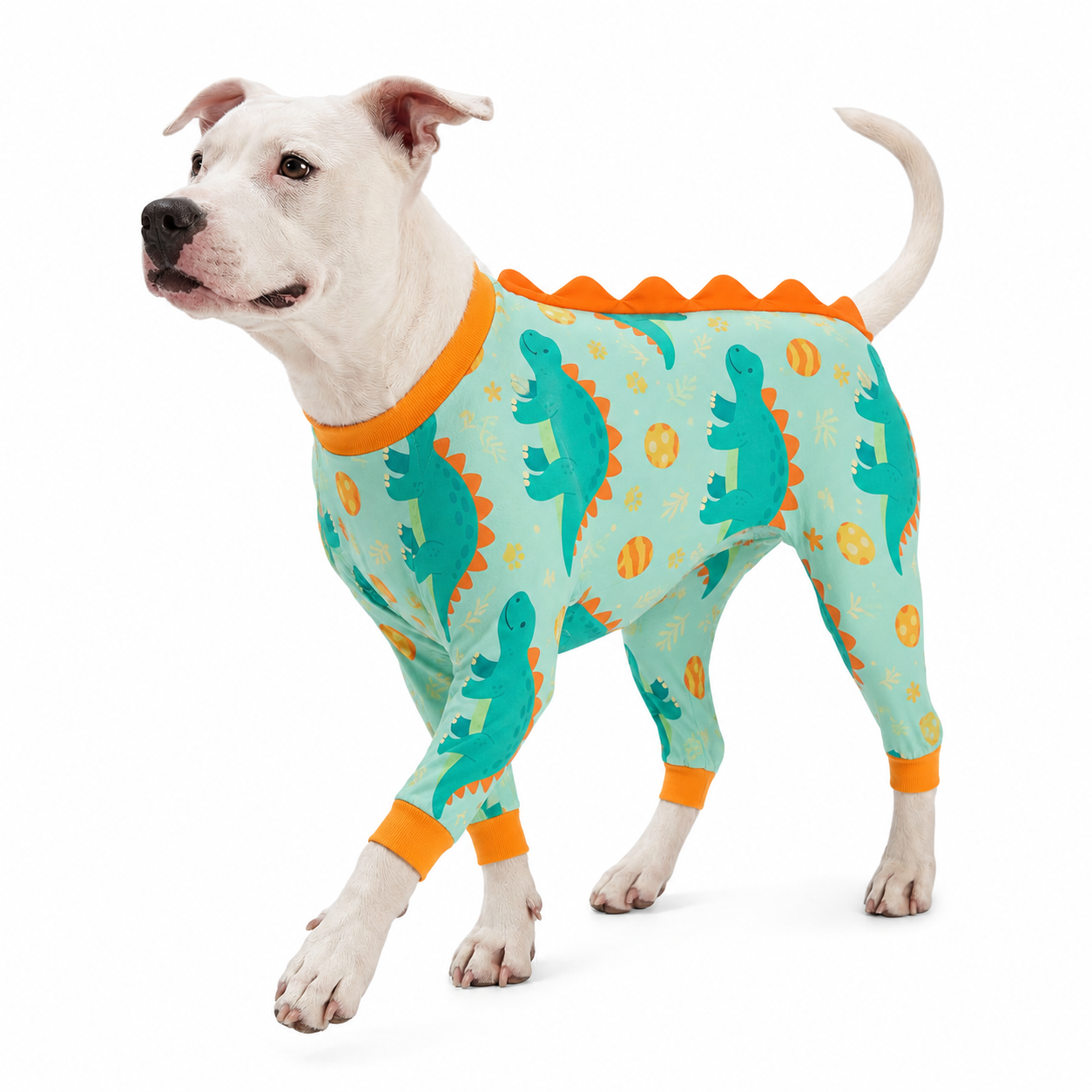 3D Dinosaur Dog Pajamas with Ridge