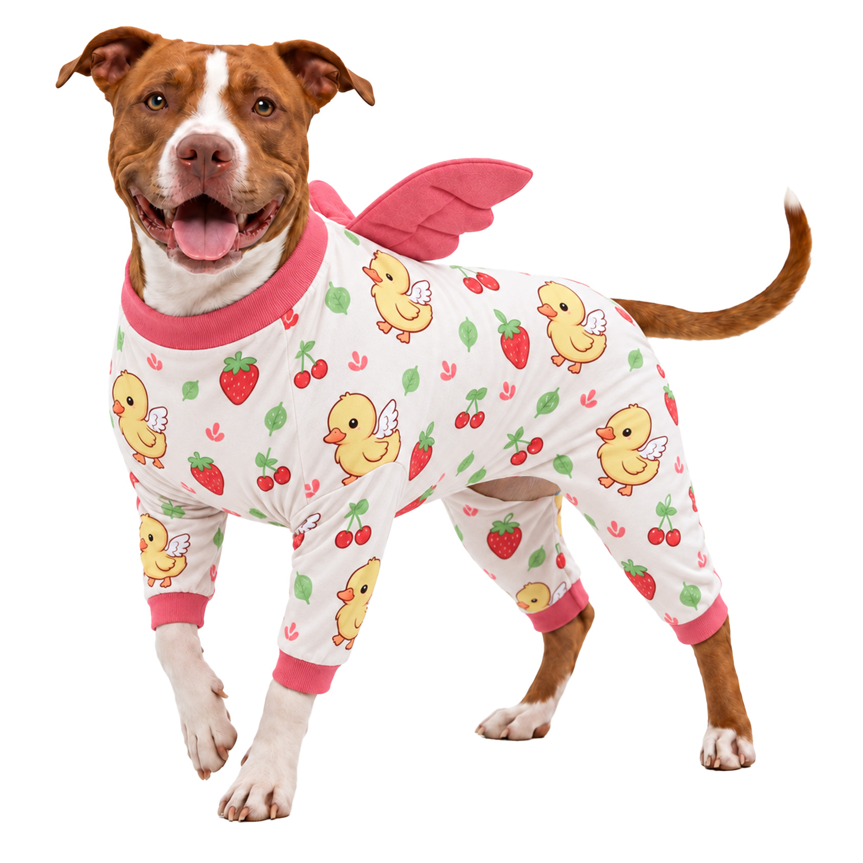 LovinPet Large Dog Pajamas with Wings, Black Bear Print, Sky Blue