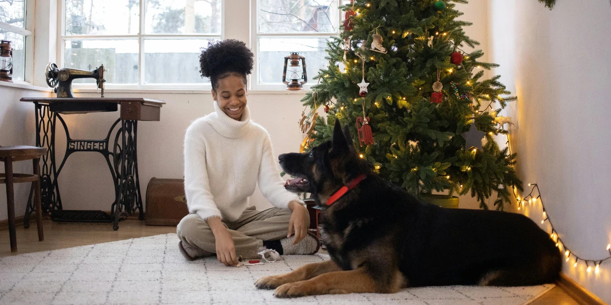 Holiday joy with LovinPet's stylish dog clothing! A cheerful German Shepherd wearing LovinPet gear by a beautifully lit Christmas tree, ready for festive celebrations.