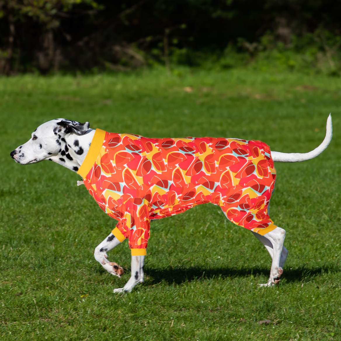Large Dog Recovery Suit Pajama Onesie - Abstract Orange Red Design