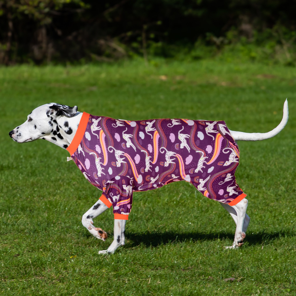 LovinPet Large Dog Pajamas Onesie - Whimsical Leopard and Rainbow Design in Dark Purple