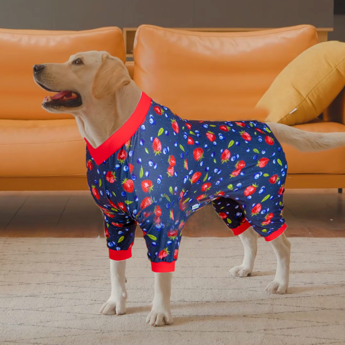 LovinPet Large Dog Post Recovery Suit - Little Roses Floral Pattern