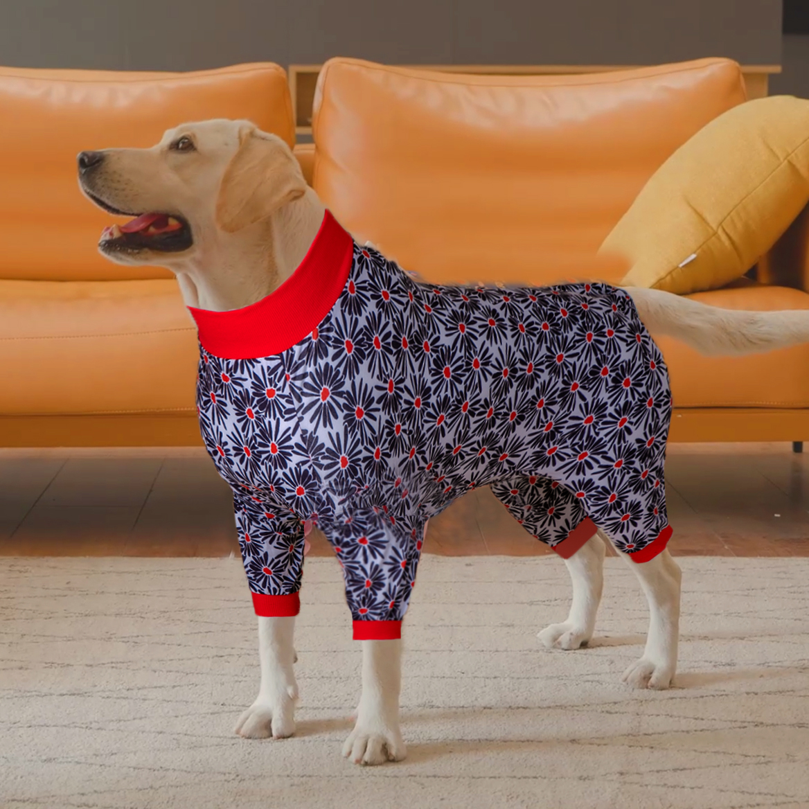 Black Daisy Dog Recovery Suit Full-Body Post-Surgery Comfort